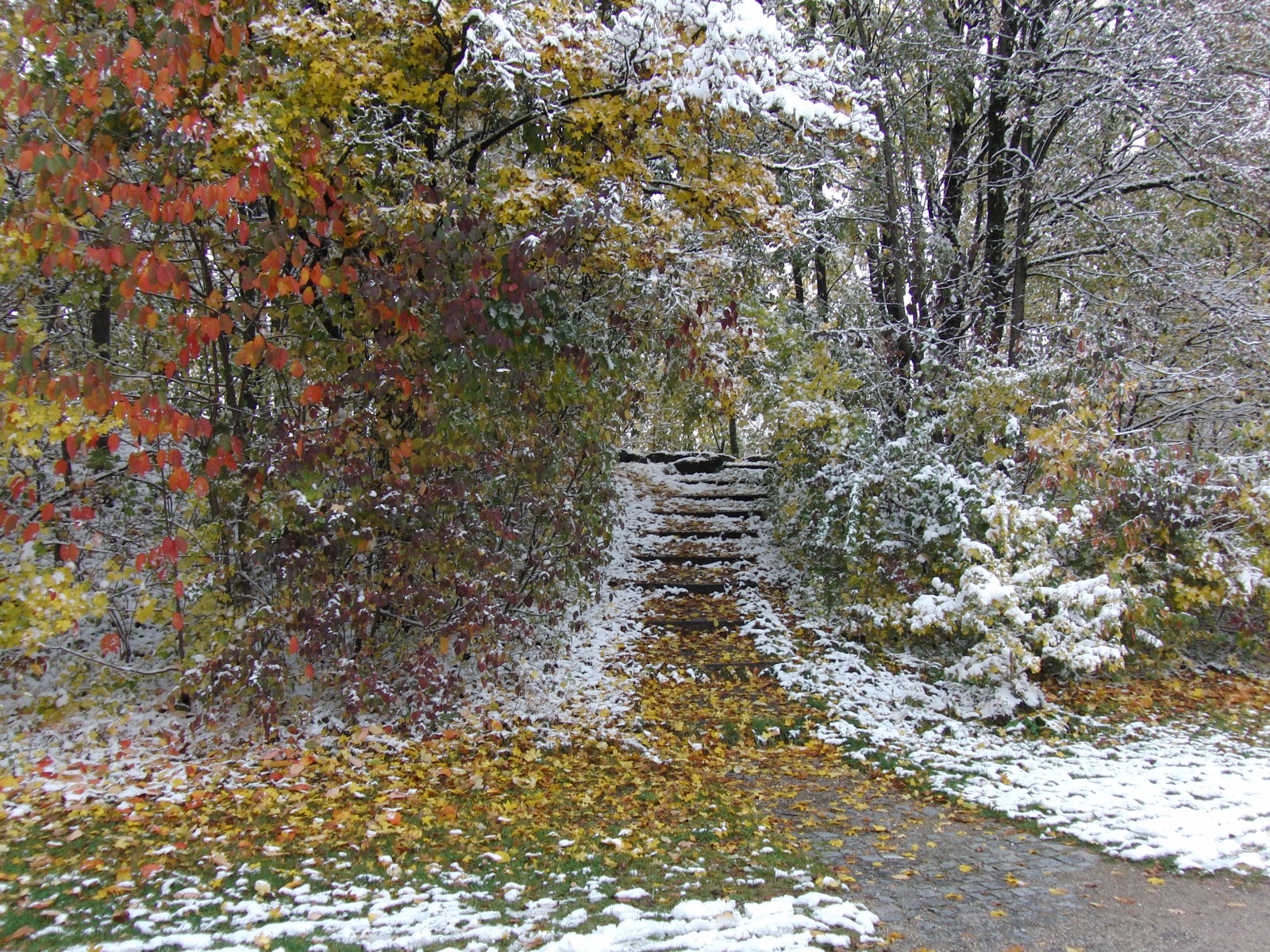Erster Schneematsch im Park Erster Schneematsch im Park