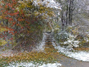Erster Schneematsch im Park