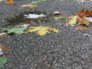 Nasses Laub auf Gehweg