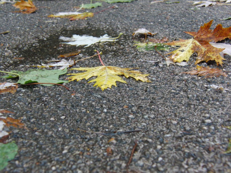 Schmuddelherbst