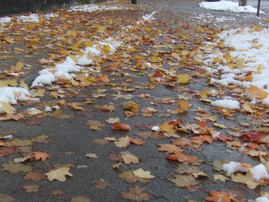 Schneematsch mit Laub
