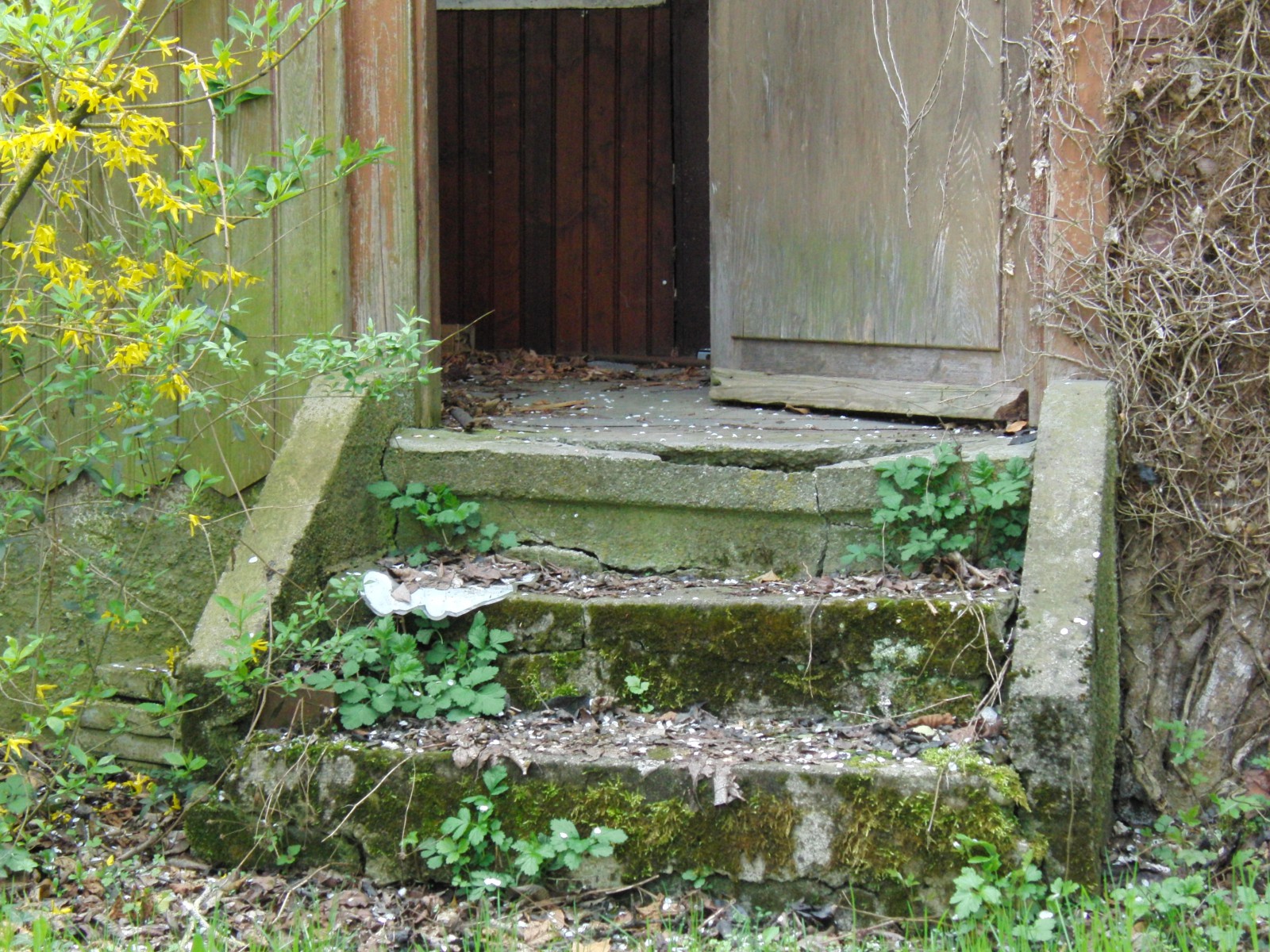 Alte Haustreppe Alte Haustreppe