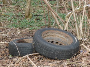 Altreifen im Gebüsch Altreifen im Gebüsch