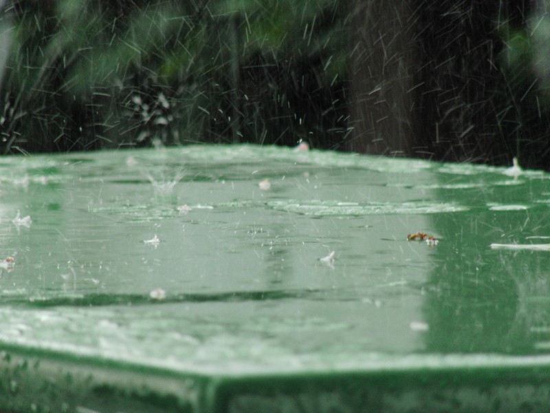  Grüner Gartentisch im Regen