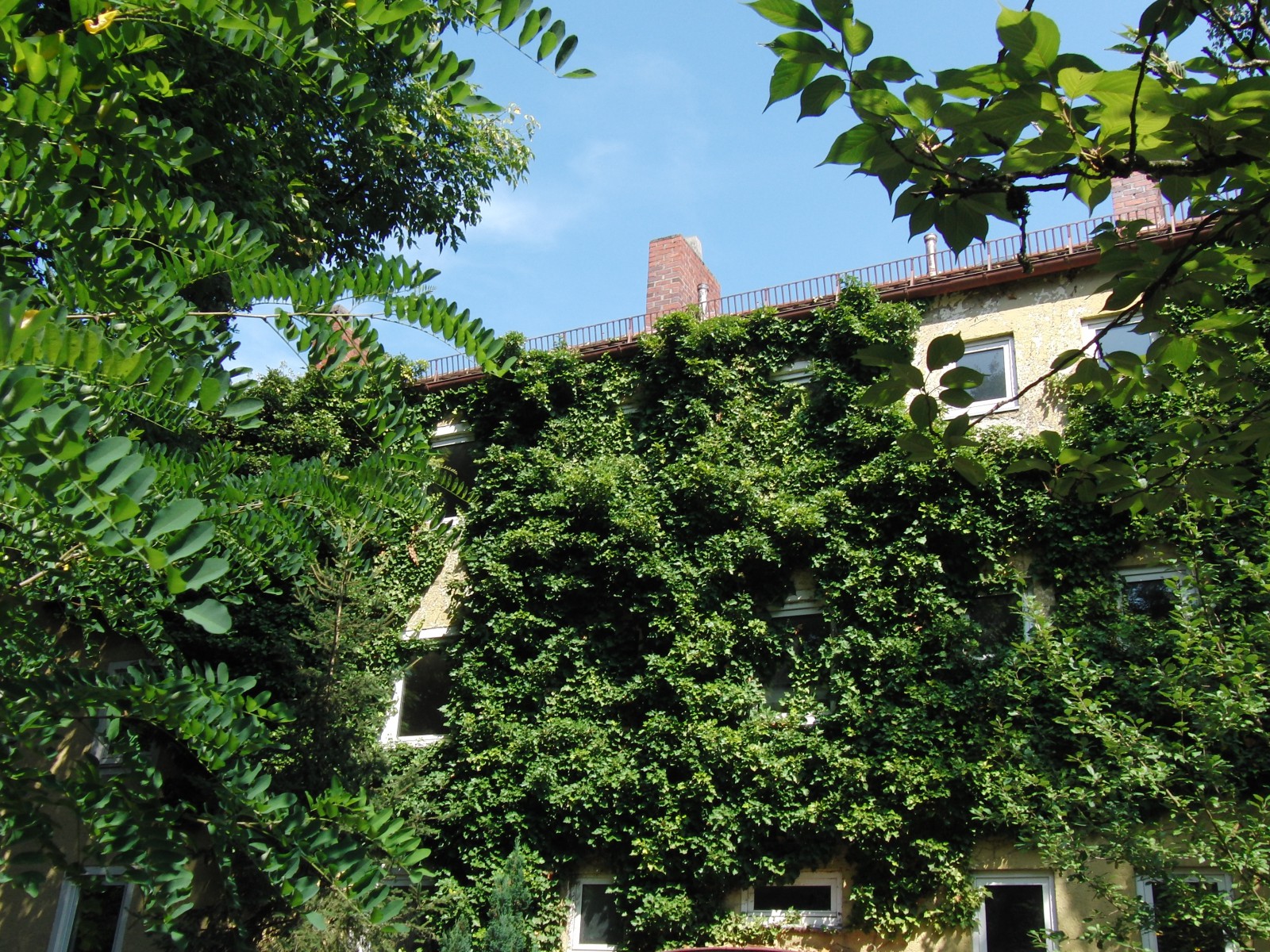 Grünes Abrisshaus Grünes Abrisshaus