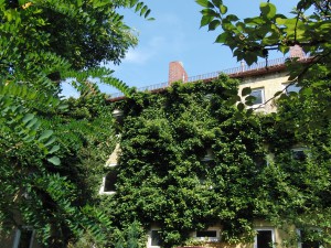 Grünes Abrisshaus Grünes Abrisshaus