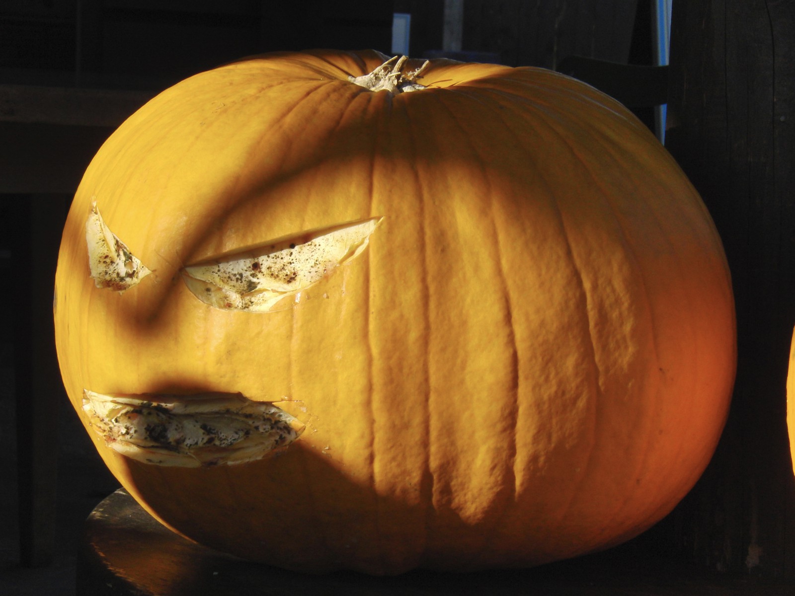 Halloween Kürbis  Halloween Kürbis