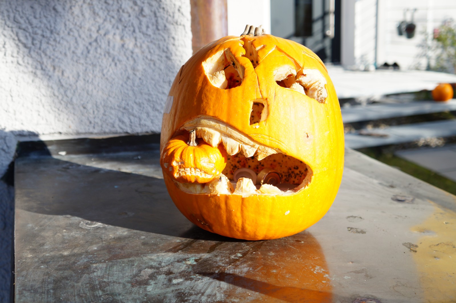 Helloween Kürbis am nächsten Morgen  Helloween Kürbis am nächsten Morgen