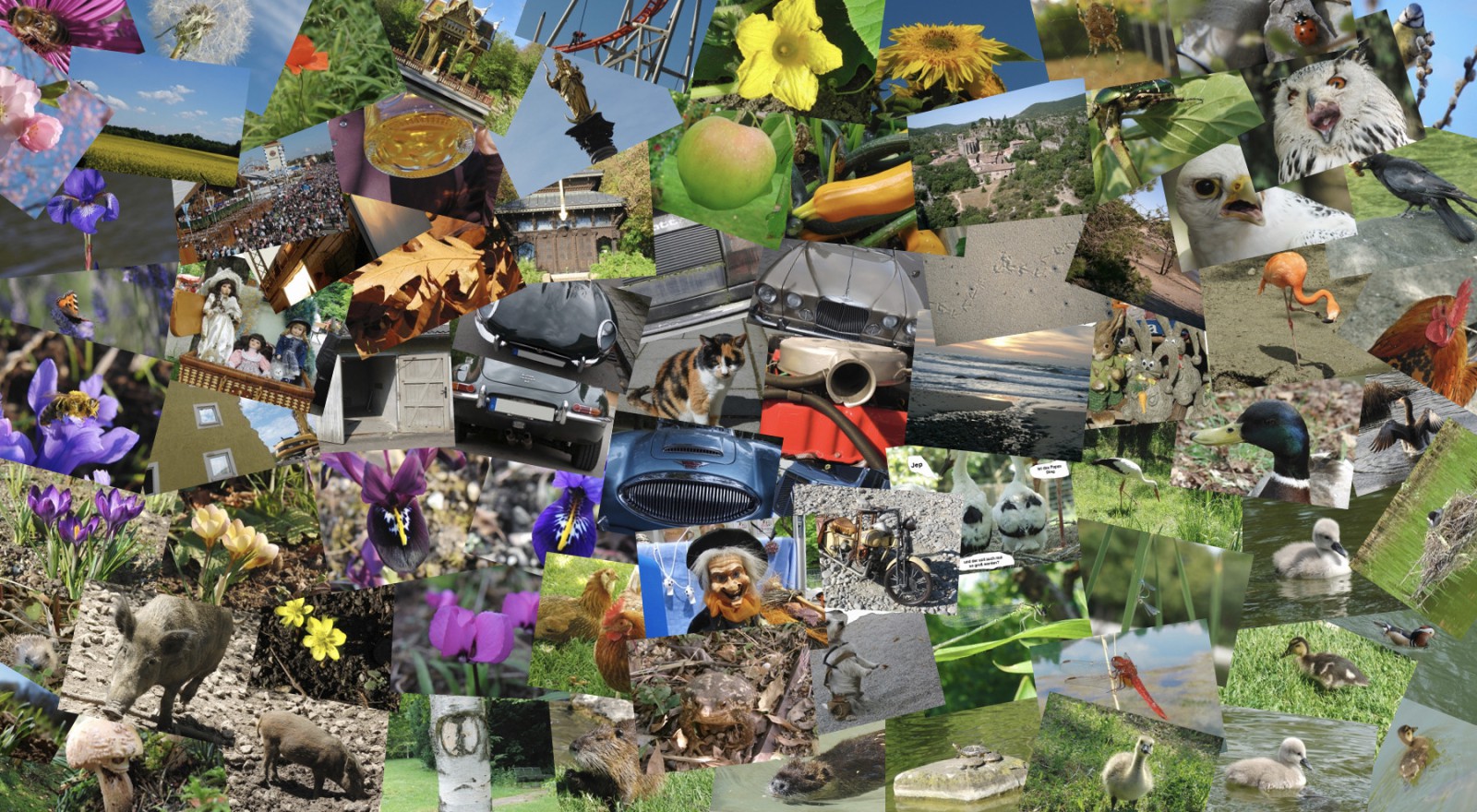 Nikipics Bilder-Collage Nikipics Bilder-Collage