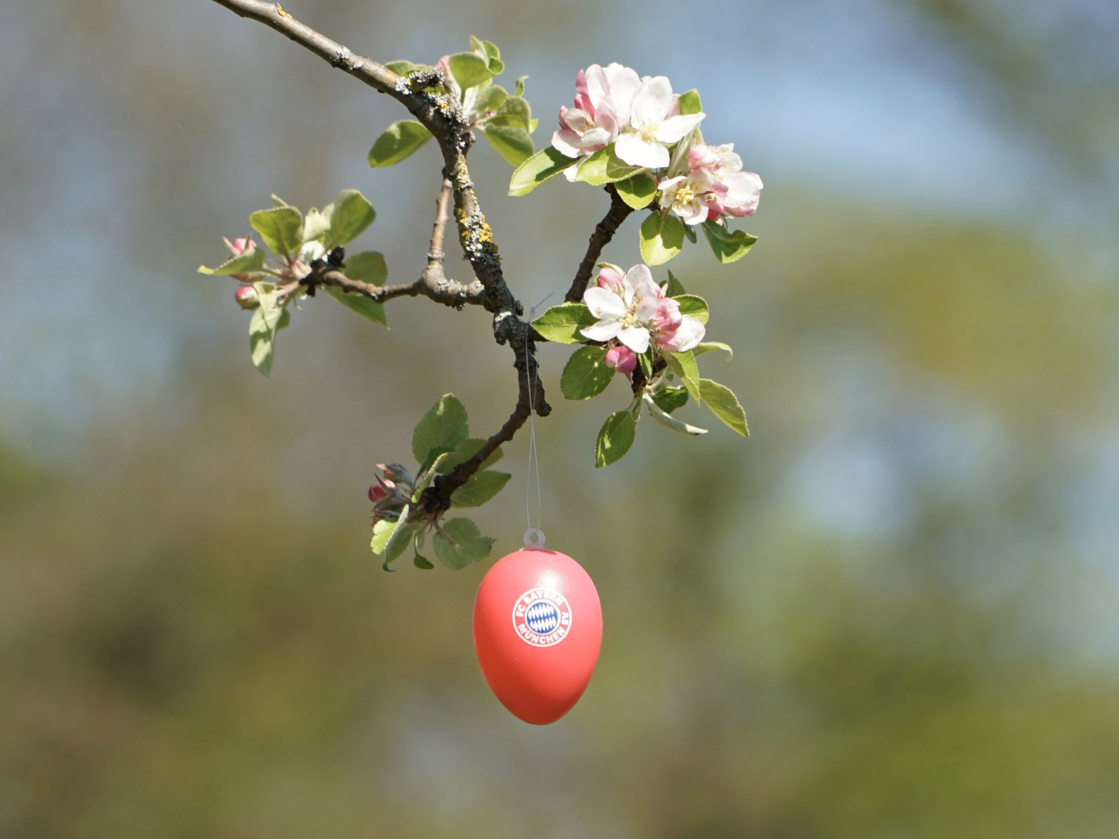 Osternei für FC Bayernfans  Osternei für FC Bayernfans
