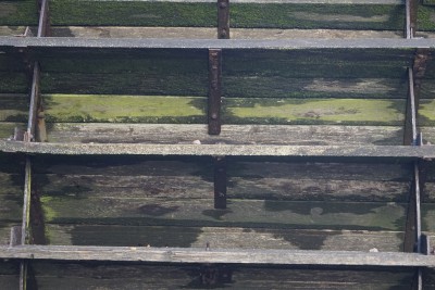  Sonstige Bilder
