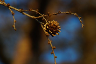  Wald,Feld & Wiese 
