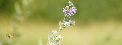  Wallpaper 3840X1440 Sonstige