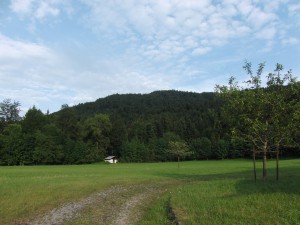Kleine Hütte am Waldrand Kleine Hütte am Waldrand
