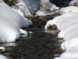 Bach im Winter 1 Bach im Winter 1
