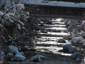 Bach im Winter 2 Bach im Winter 2
