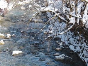Bach im Winter 3 Bach im Winter 3