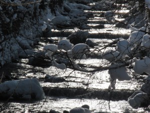 Bach im Winter 4 Bach im Winter 4