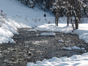 Bach in Winterlandschaft 1 Bach in Winterlandschaft 1