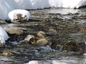 Bach in Winterlandschaft Bach in Winterlandschaft