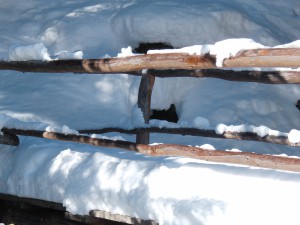 Steg im Winter Steg im Winter