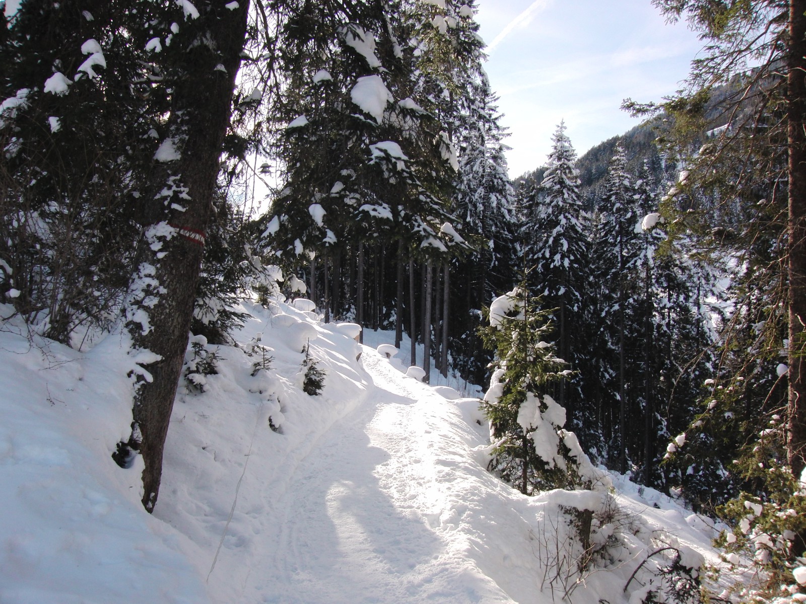 Weg in Winterlandschaft Weg in Winterlandschaft