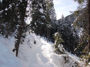 Weg in Winterlandschaft Weg in Winterlandschaft