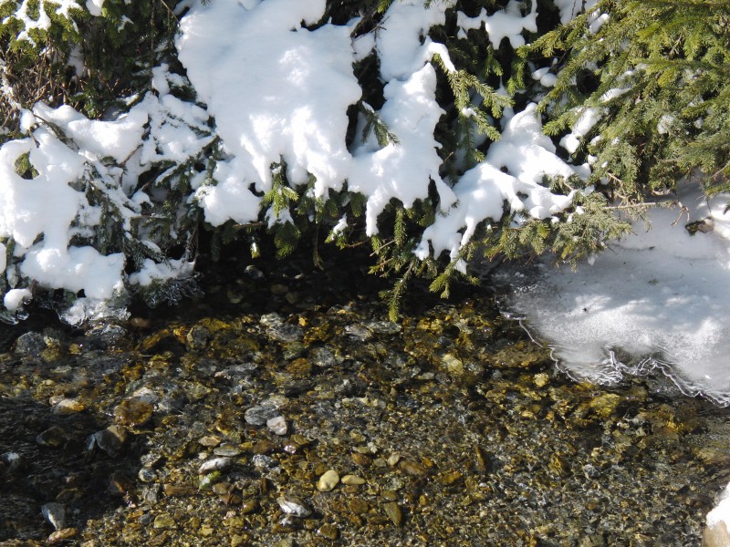  Winter am Bach