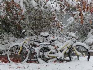 Wintereinbruch Wintereinbruch