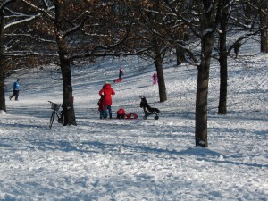 Winterspass im Park Winterspass im Park