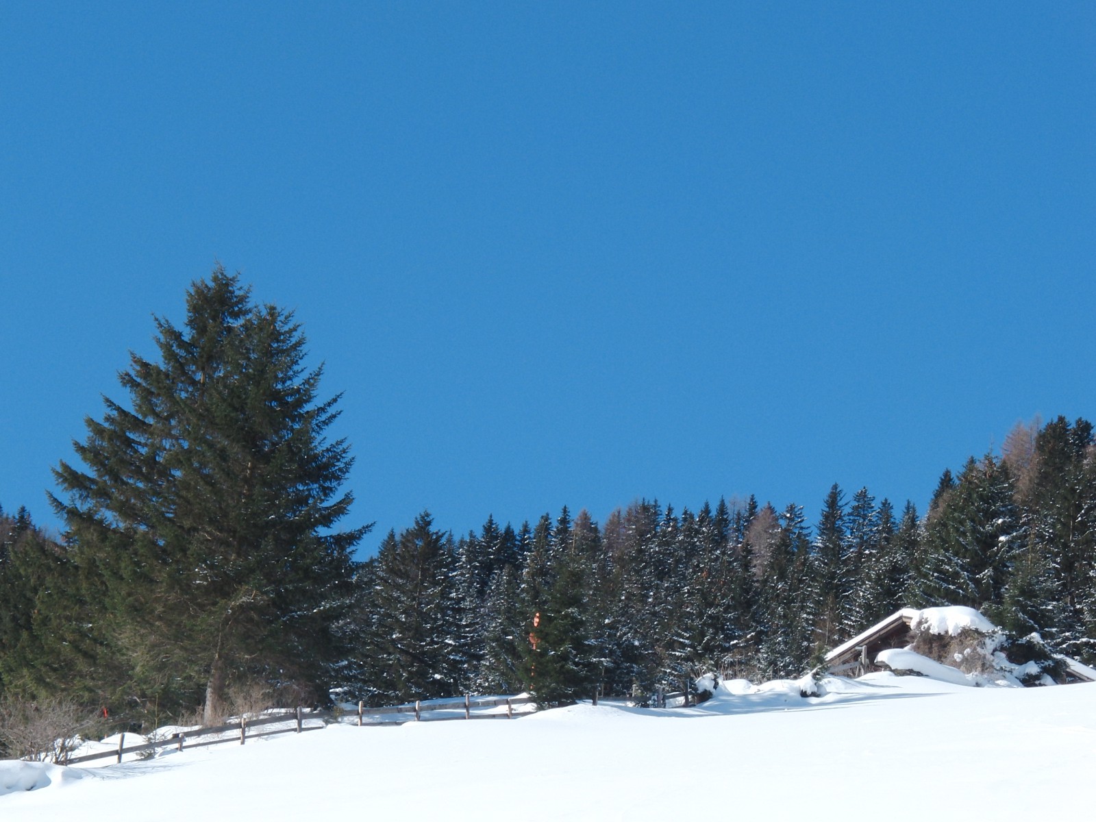 Wintertraum  Wintertraum