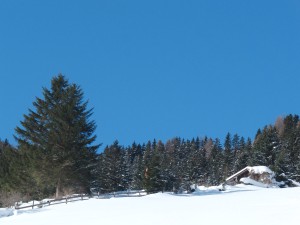 Wintertraum Wintertraum