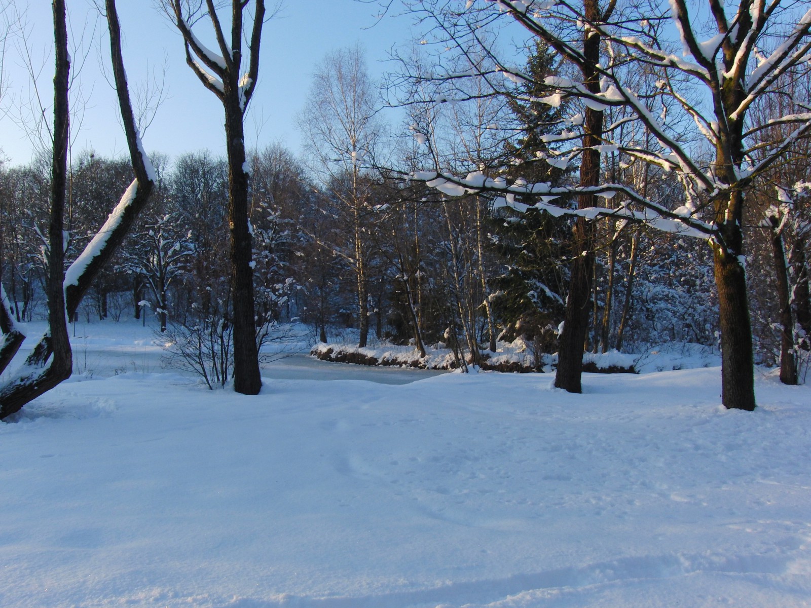 Wintertraum im Park Wintertraum im Park