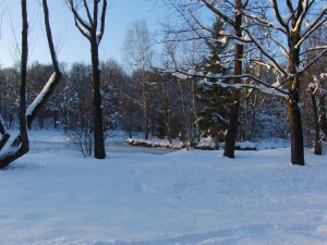 Wintertraum im Park Wintertraum im Park