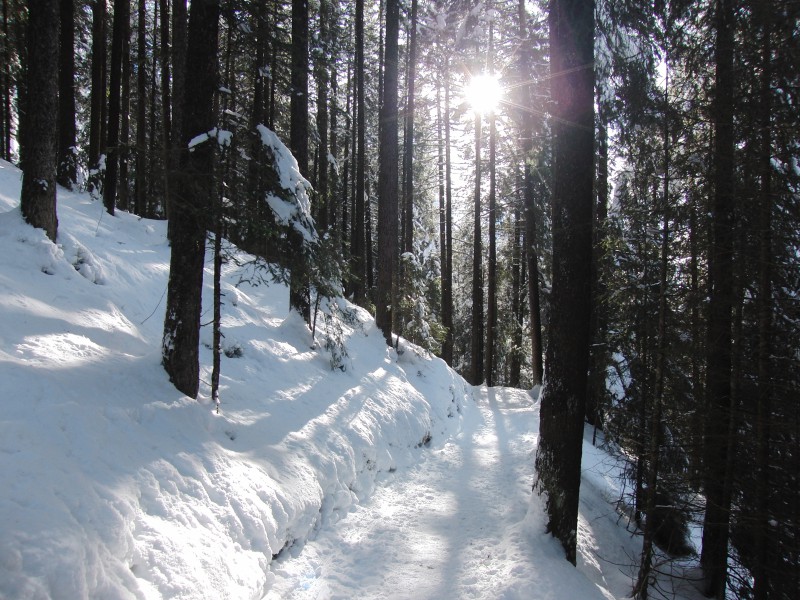  Winterweg im Gegenlicht