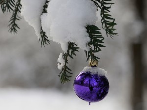 Chritsbaumkugel und Schnee