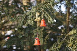 Rote Weihnachtsglöckchen