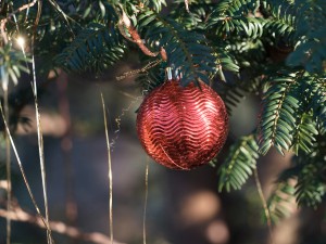Rote Weihnachtskugel