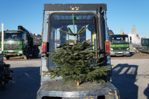 Stabler mit Weihnachtsbaum Stabler mit Weihnachtsbaum