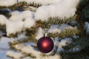 Weihnachtskugel am Zweig mit Schnee Weihnachtskugel am Zweig mit Schnee