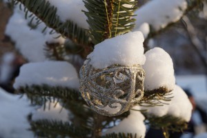 Weihnachtskugel-silber am Zweig Weihnachtskugel-silber am Zweig