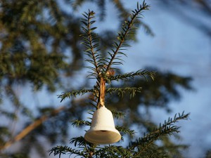 Weiße Glocke Weiße Glocke