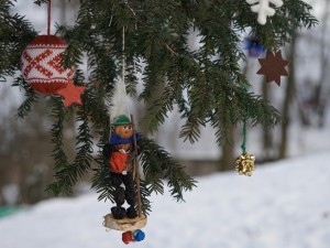 Zwetschgen Manschgerl am Baum Zwetschgen Manschgerl am Baum