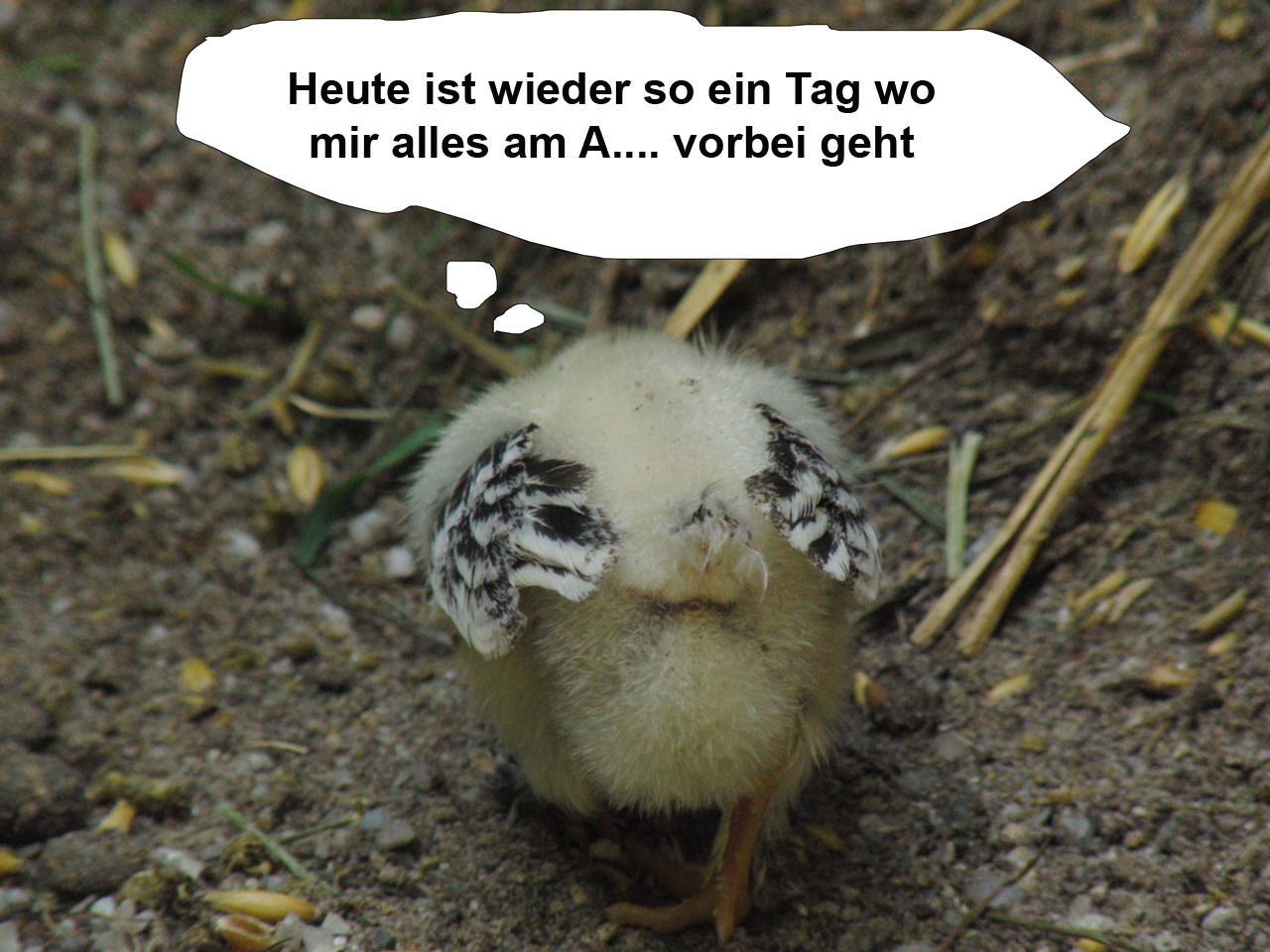 Am A.... vorbei  Am A.... vorbei