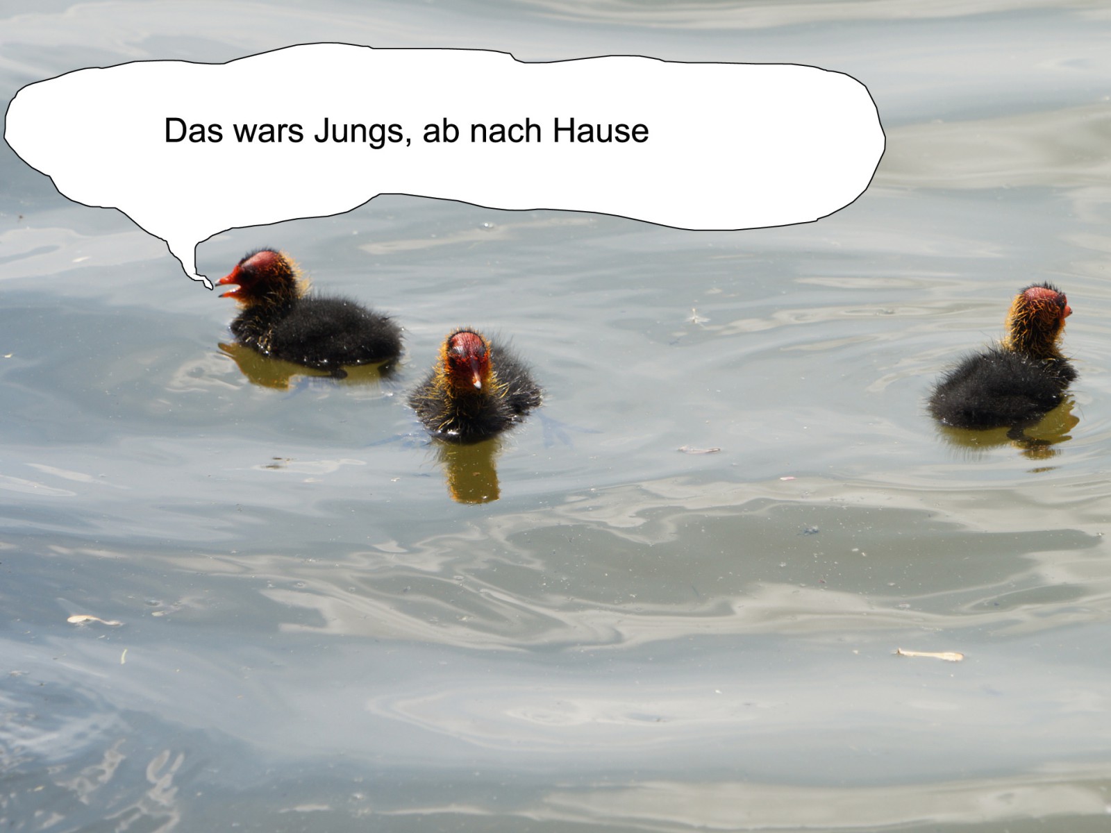 Das wars Jungs  Das wars Jungs