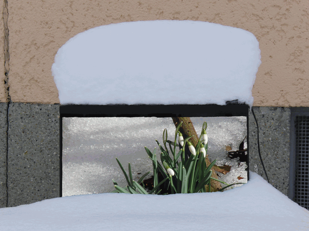 Frühlingsanfang im TV (GIF)  Frühlingsanfang im TV (GIF)
