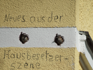  Neues aus der Hausbesterszene (GIF)