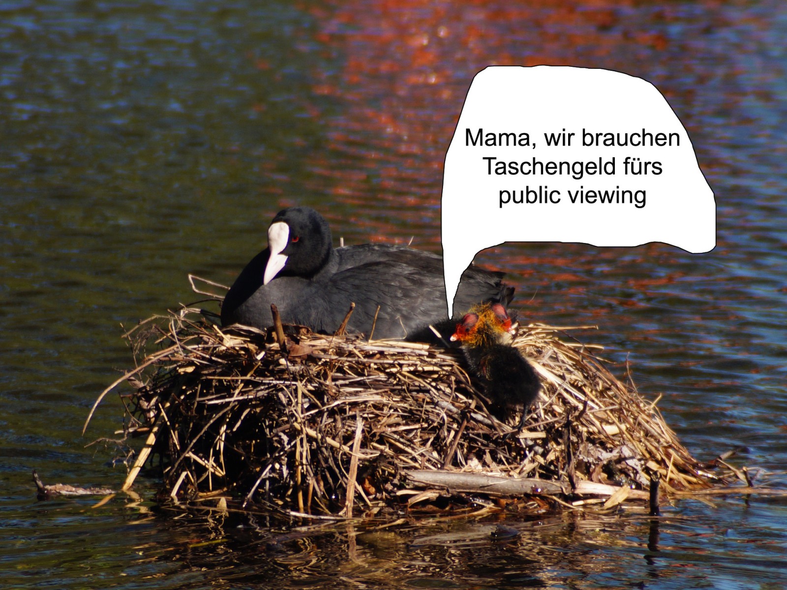 Taschengeld-für-public-viewing Taschengeld-für-public-viewing
