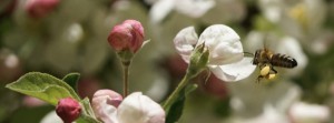 Fleißig gesammelt FB Banner