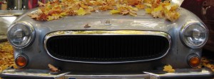 Schneewittchensarg im Herbst FB Banner Schneewittchensarg im Herbst FB Banner